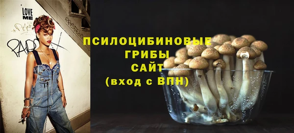 спиды Корсаков
