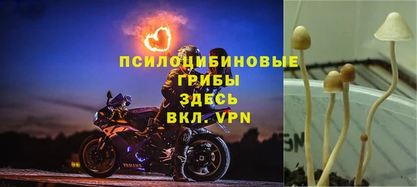 MDMA Premium VHQ Нязепетровск