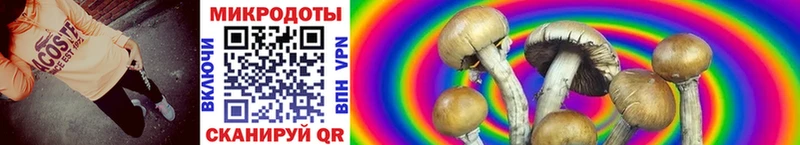 Галлюциногенные грибы мухоморы  OMG зеркало  Сортавала 
